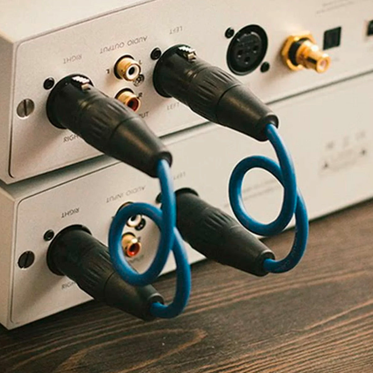 Cable Aune XLR a XLR 50 Cms Interconector