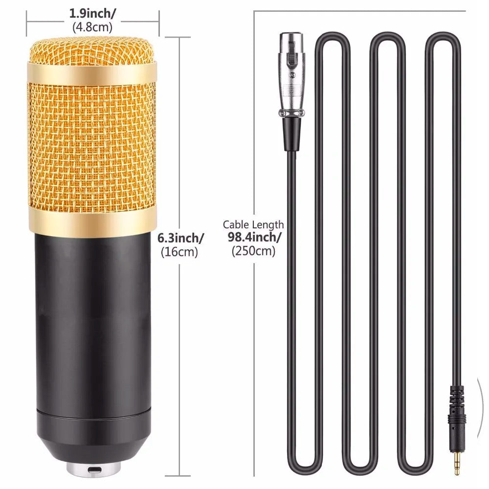 Micrófono de condensador profesional Kit de Microfono para PC