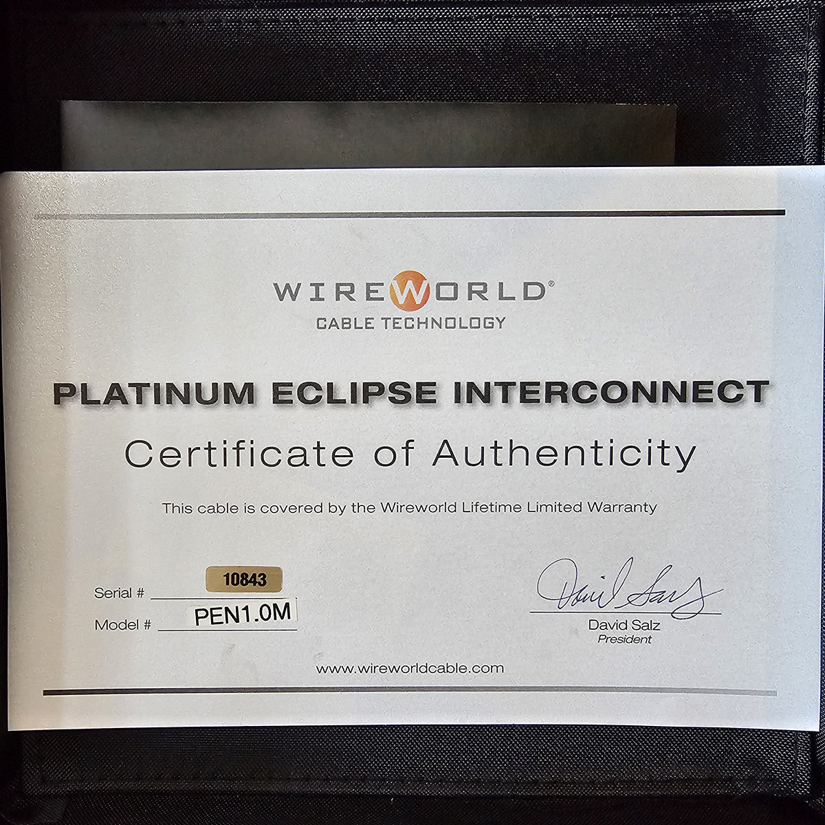 Cable Wireworld Nano Platinum Eclipse Mini 3.5mm a 2 RCA Platinum Series Pen